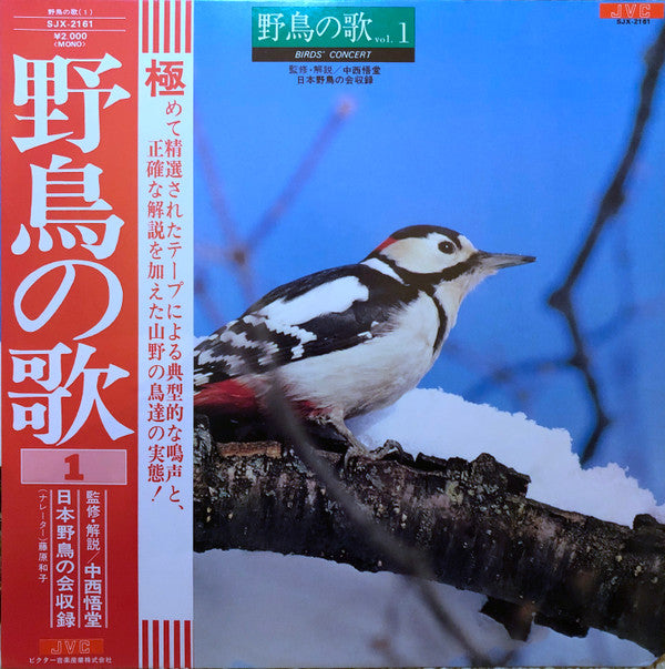 Unknown Release