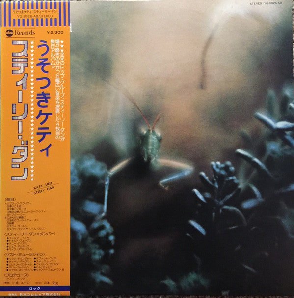 Katy Lied
