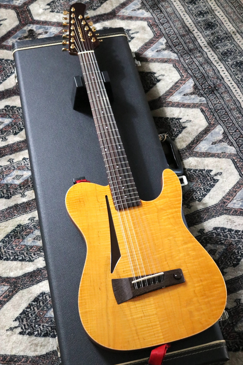 P-Project AI-12