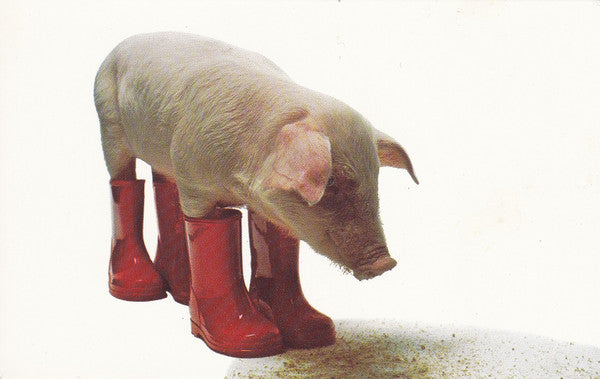 Pink Pork