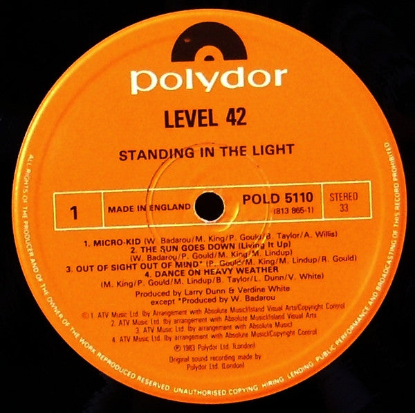 Standing In The Light