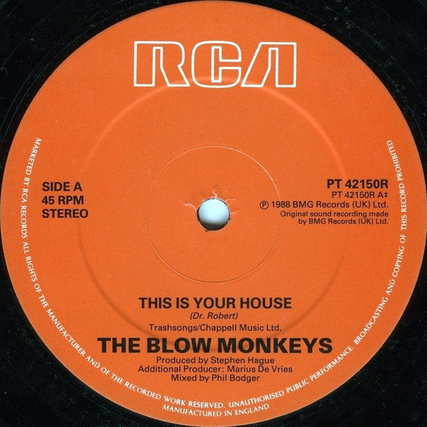 This Is Your House