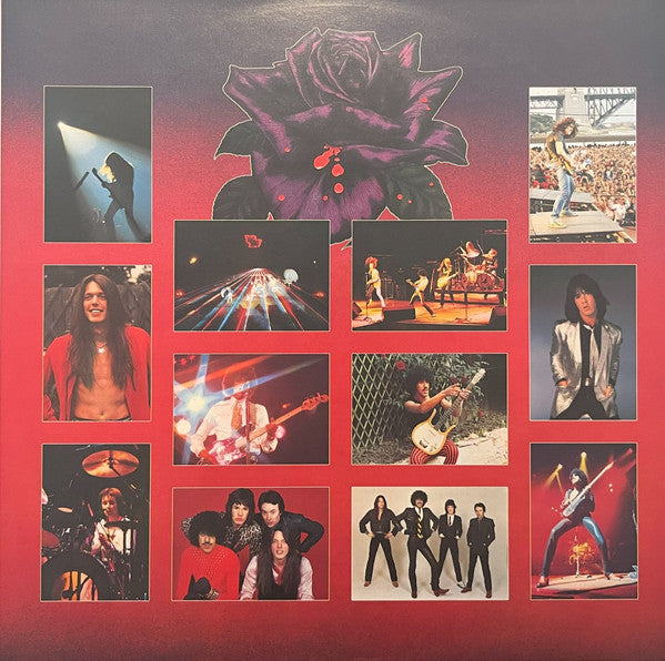 Black Rose (A Rock Legend) = ブラック・ローズ