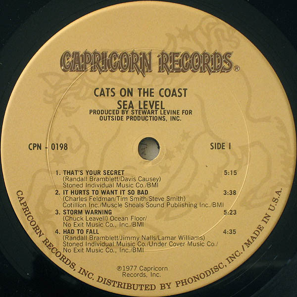 Cats On The Coast