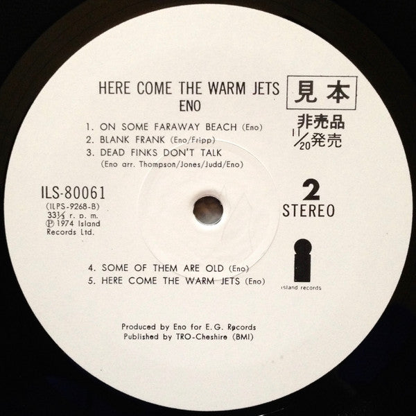 Here Come The Warm Jets