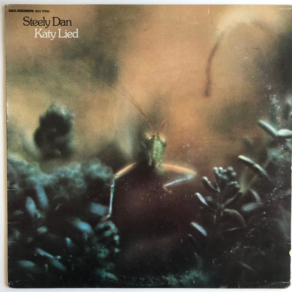 Katy Lied