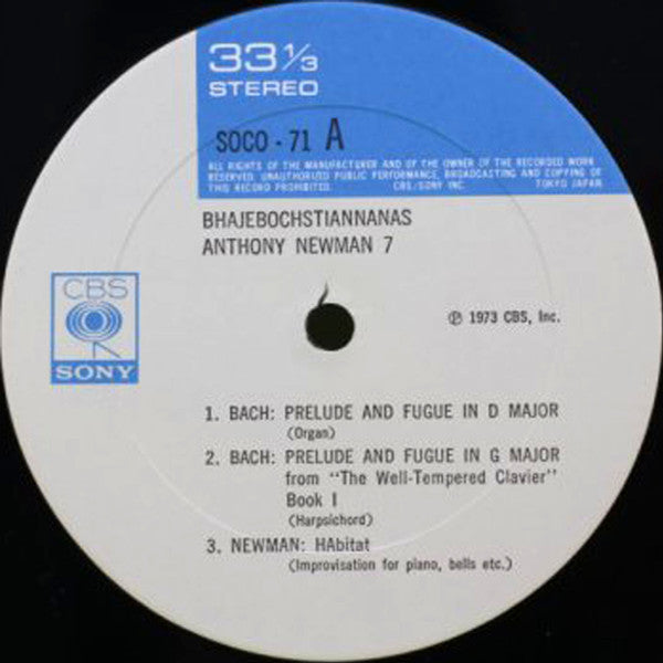 Bhajebochstiannanas