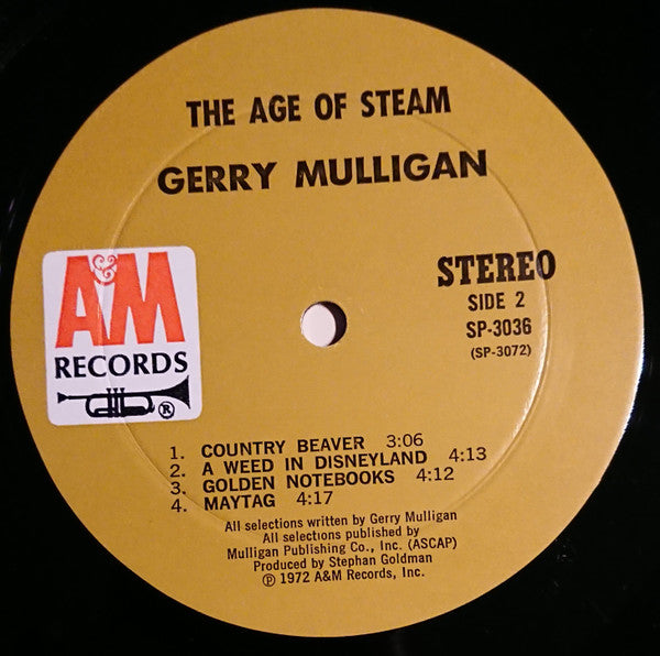The Age Of Steam
