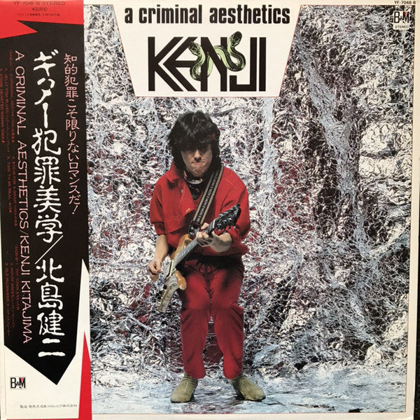 A Criminal Aesthetics