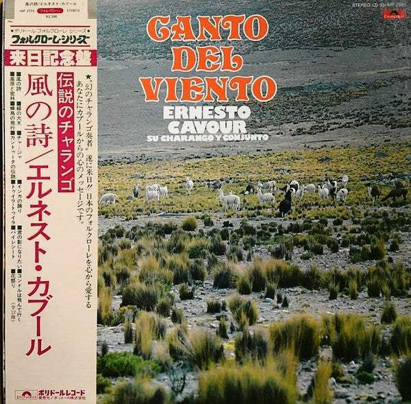 Canto Del Viento