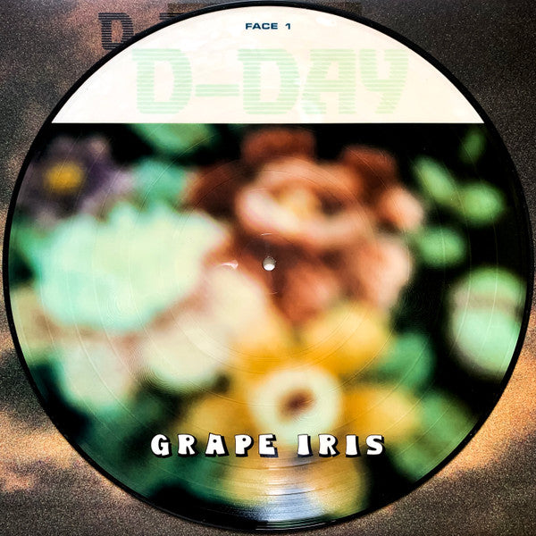 Grape Iris