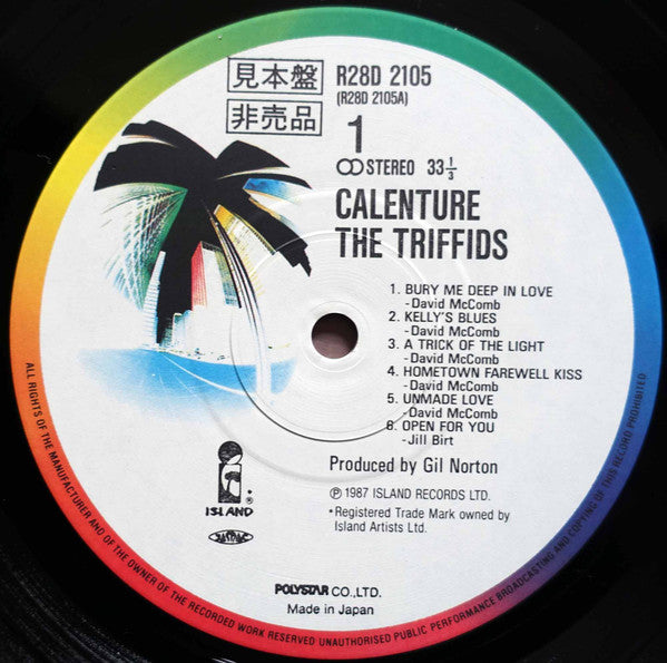 Calenture