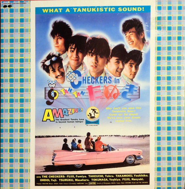 Checkers In Tan Tan たぬき