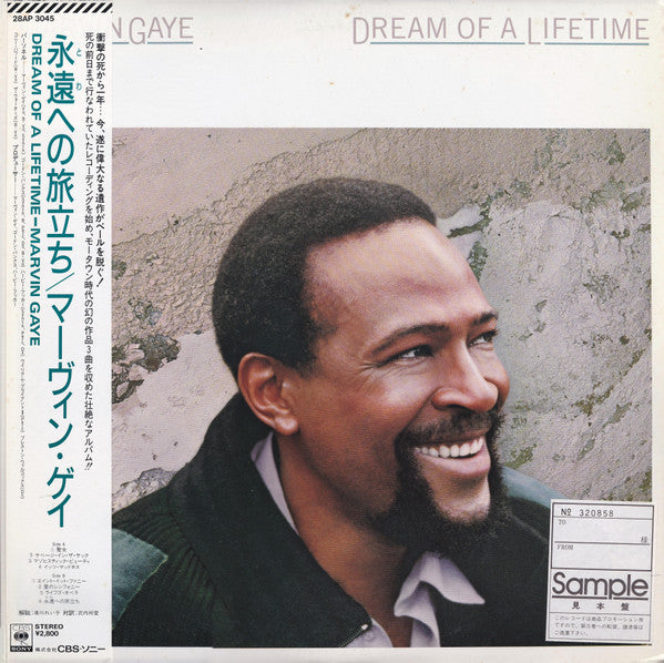 Dream Of A Lifetime
