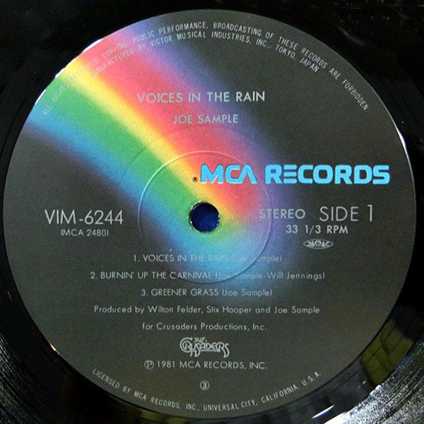 Voices In The Rain