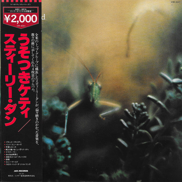 Katy Lied
