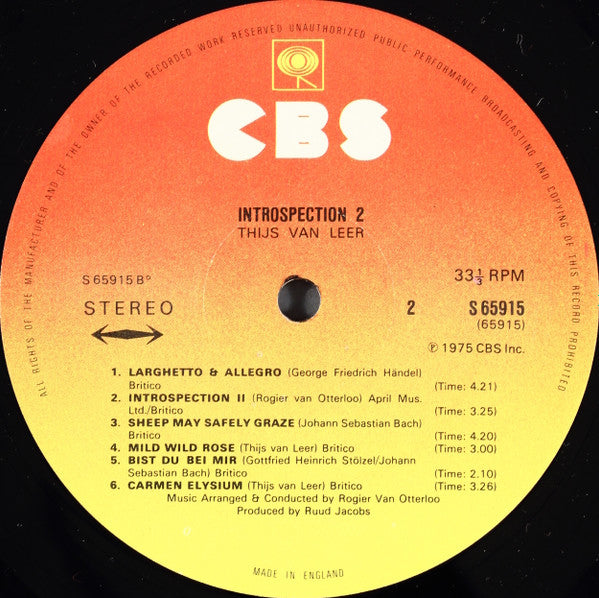 Introspection 2