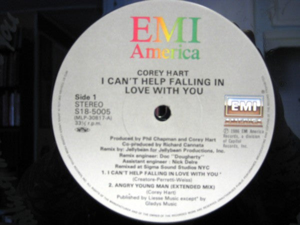 I Can't Help Falling In Love With You