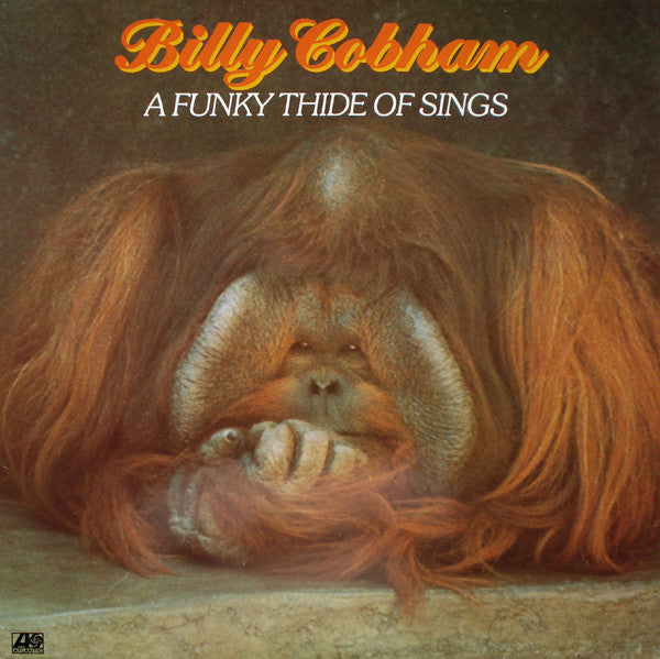 A Funky Thide Of Sings