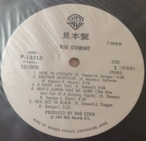 Rod Stewart