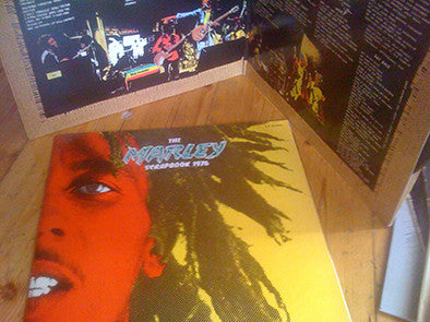 Rastaman Vibration