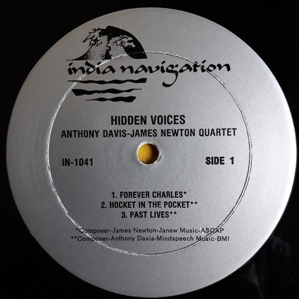 Hidden Voices