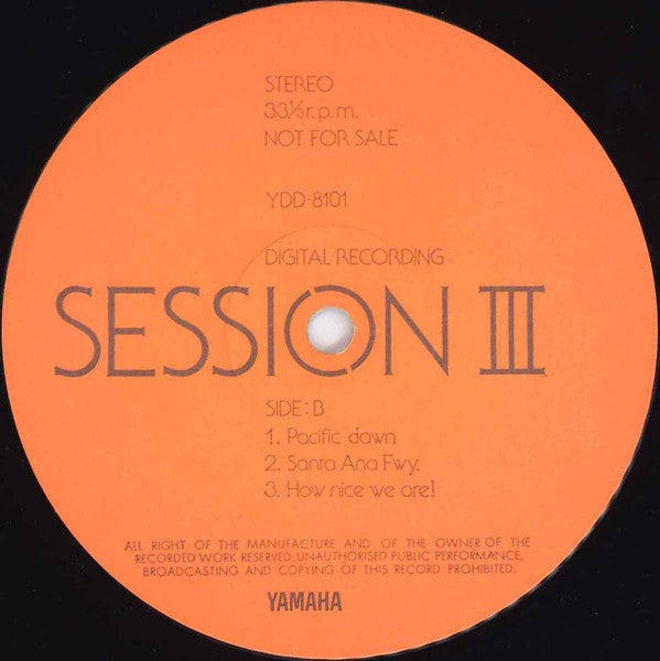 Session III