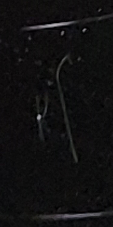 8:30