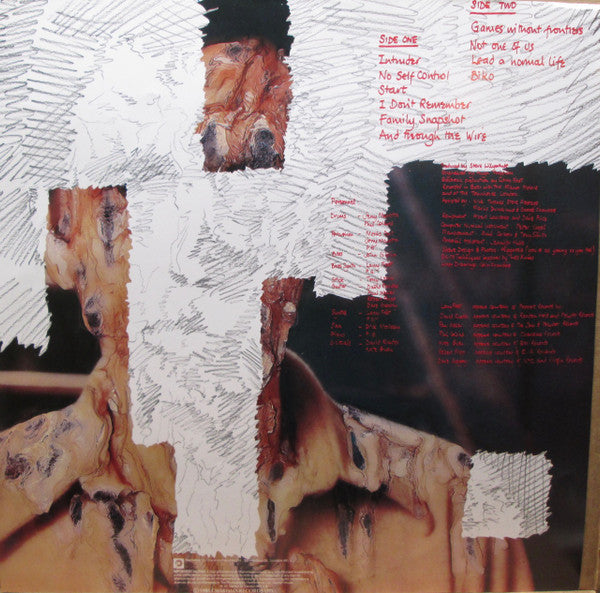 Peter Gabriel