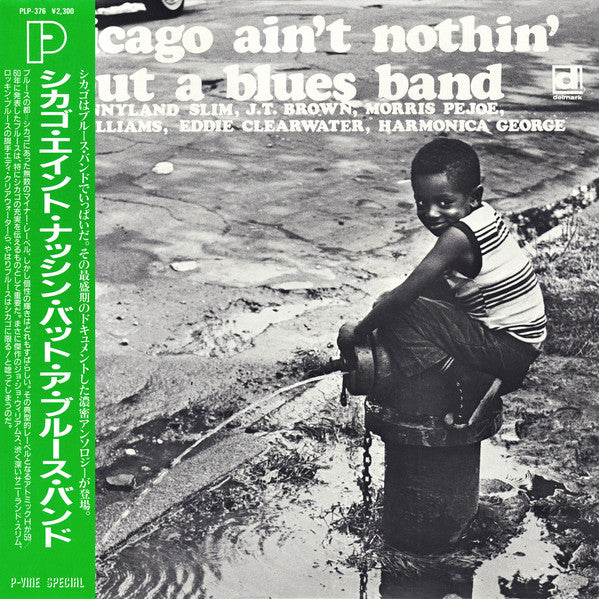 Chicago Ain't Nothin' But A Blues Band