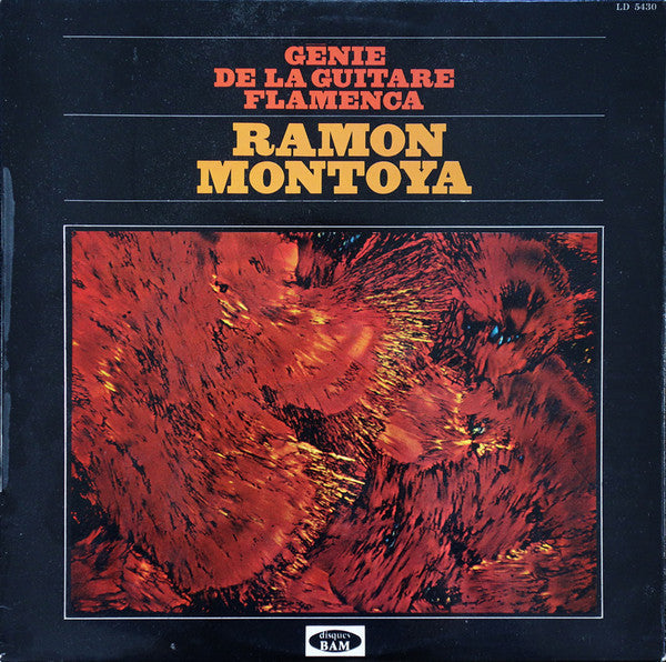 Génie De La Guitare Flamenca
