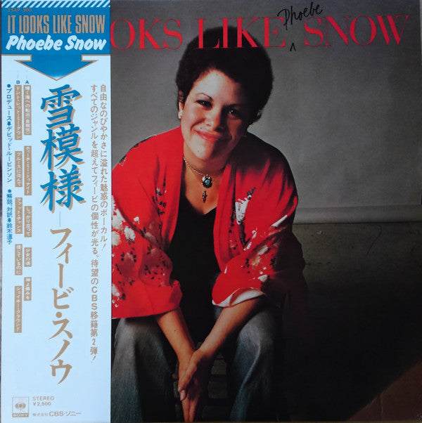 It Looks Like Snow = 雪模様