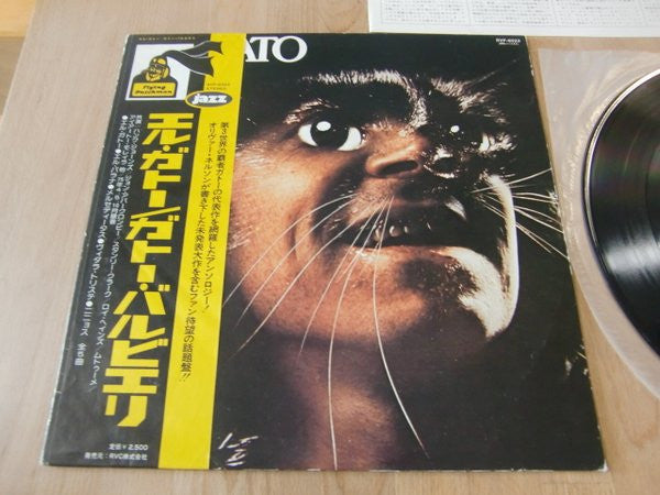 El Gato