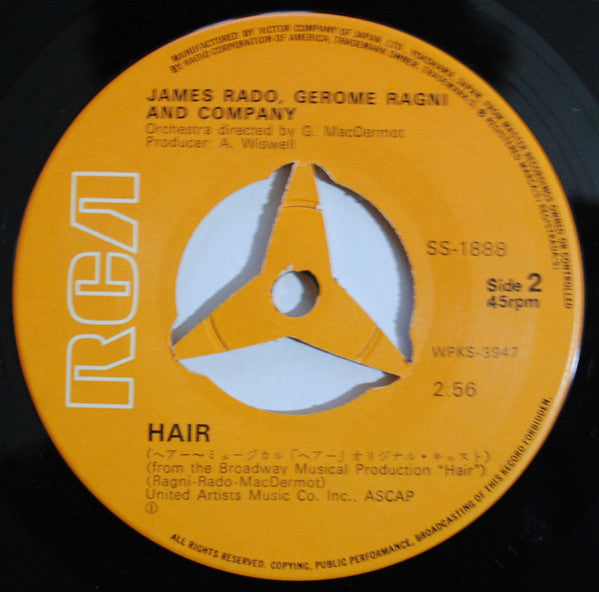 Aquarius / Hair