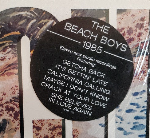The Beach Boys