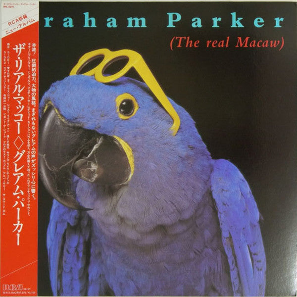 The Real Macaw