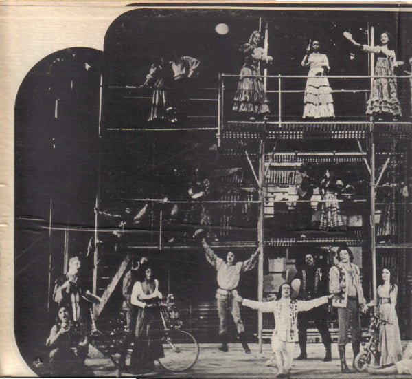Two Gentlemen Of Verona: A Grand New Musical (Original Broadway Cast Recording)