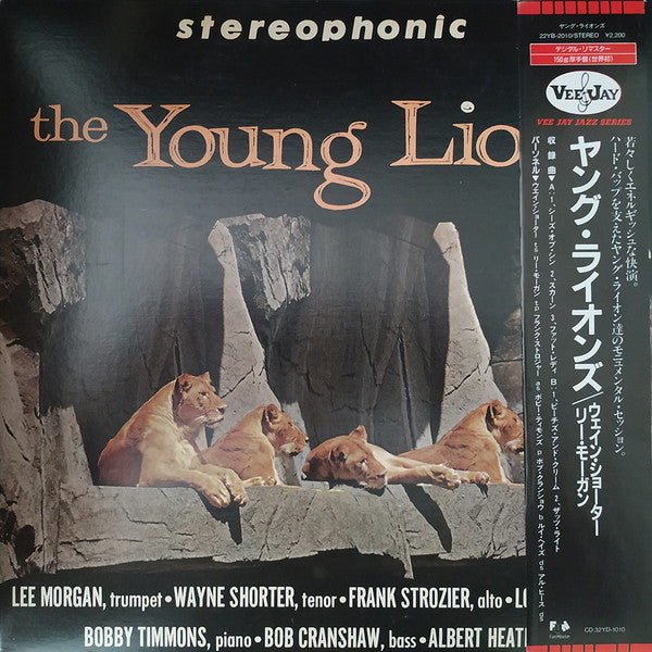The Young Lions