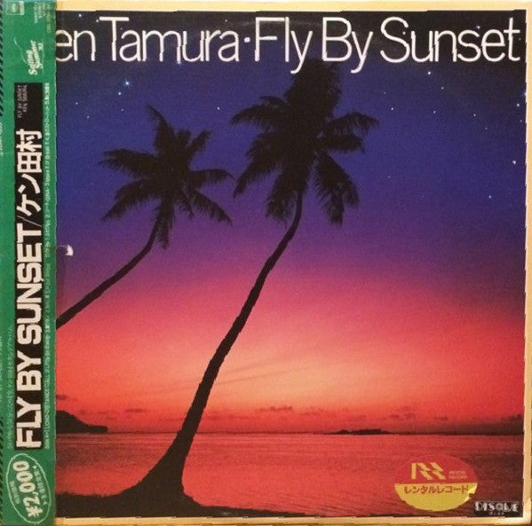 Fly By Sunset