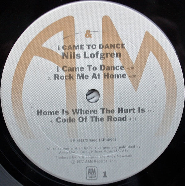 I Came To Dance