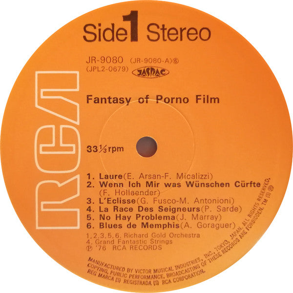 Fantasy Of Porno Film