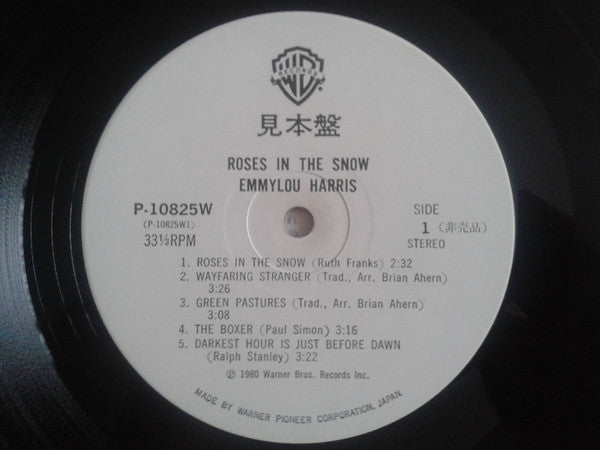 Roses In The Snow