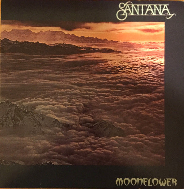 Moonflower