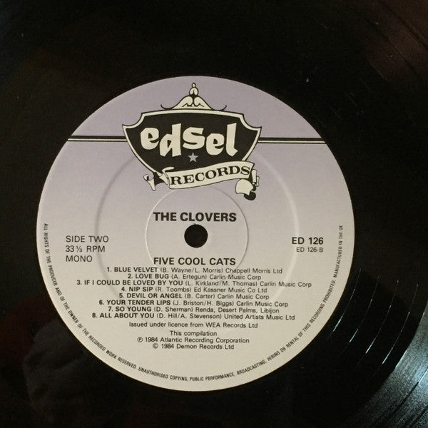 Five Cool Cats