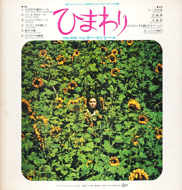 Sunflower