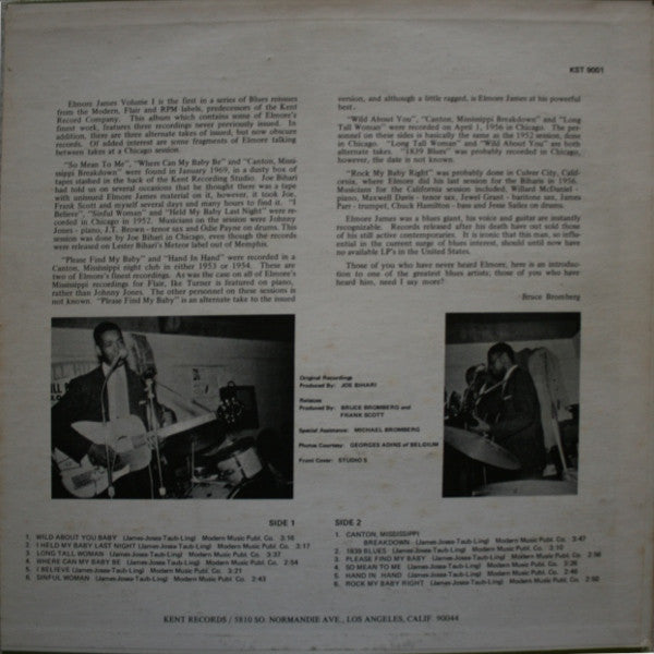 The Legend Of Elmore James