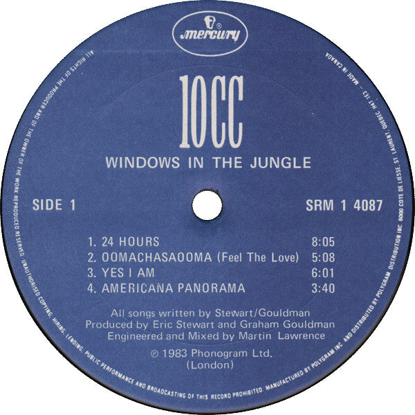 Windows In The Jungle
