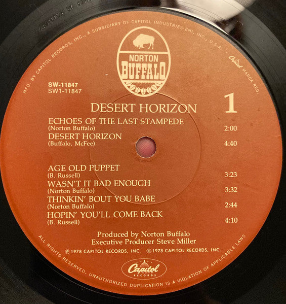 Desert Horizon