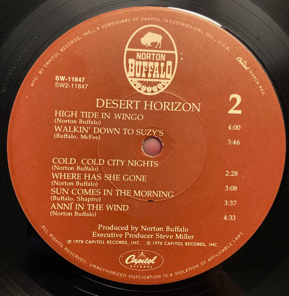 Desert Horizon