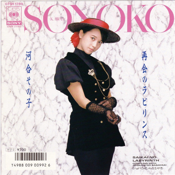 再会のラビリンス = Saikai No Labyrinth